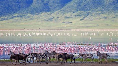 Image of ngorongoro_crater