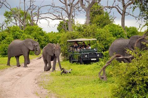Image of kruger_national_park