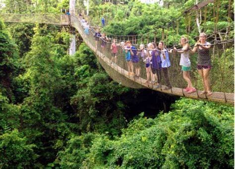 Image of kakum_national_park