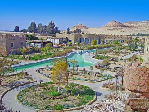 Image of siwa_oasis