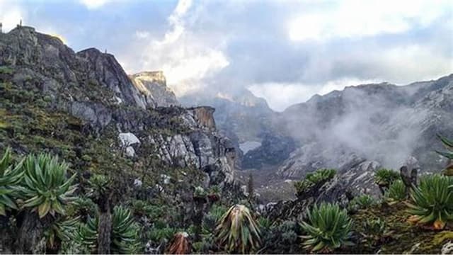 Image of rwenzori_mountains