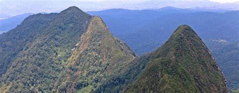 Image of kahuzi_biega_national_park