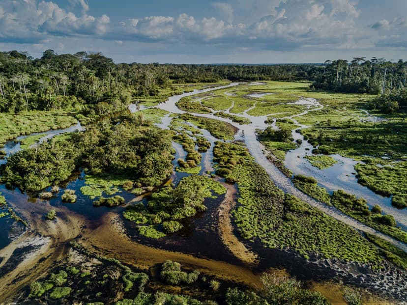odzala_kokoua_national_park
