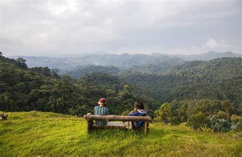 Image of gishwati_mukura_national_park